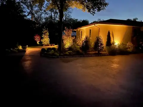 Outdoor landscape lighting in Long Island, by Scott Anderson Design.