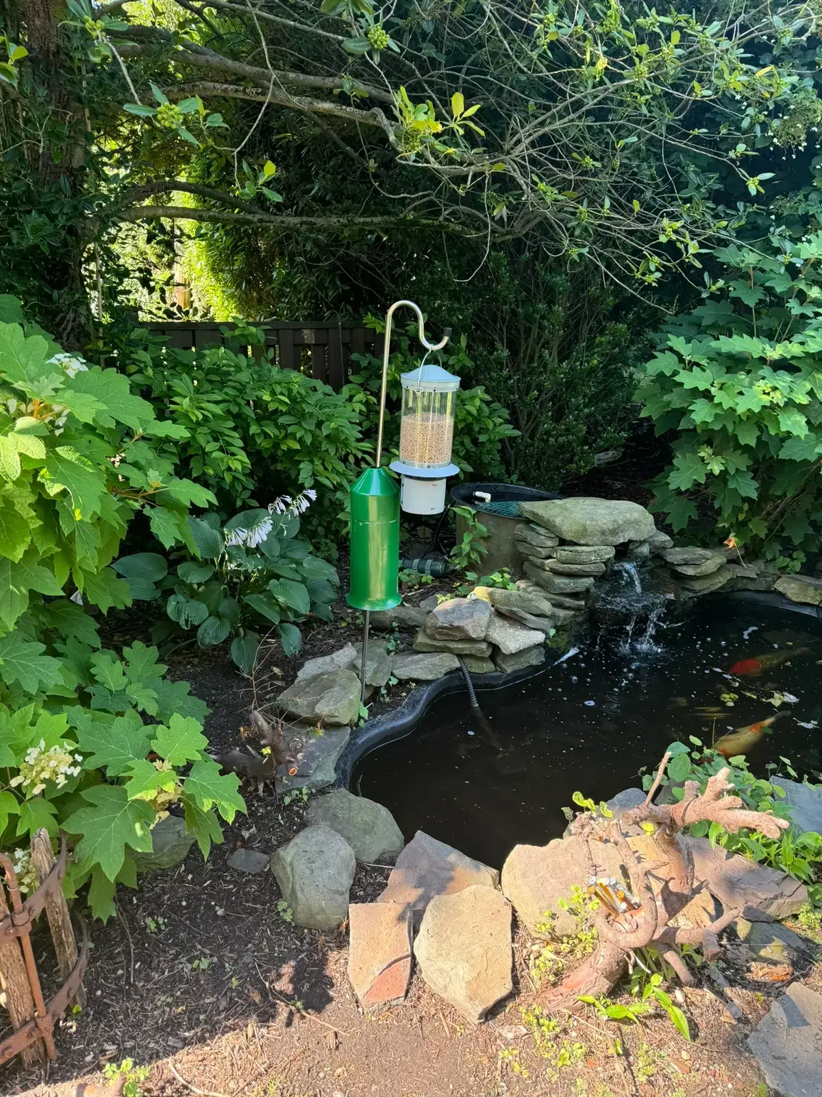 Planted shelf along the pond edge