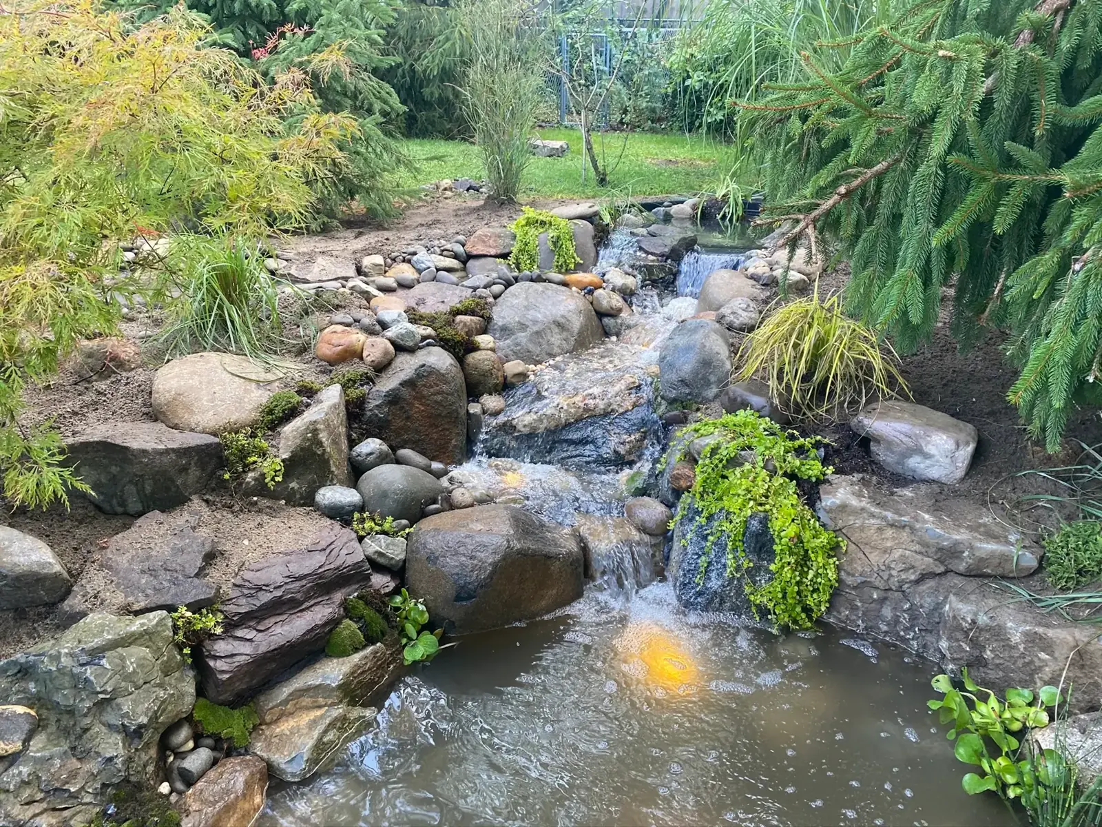Koi pond with waterfall built by Scott Anderson Design on Long Island