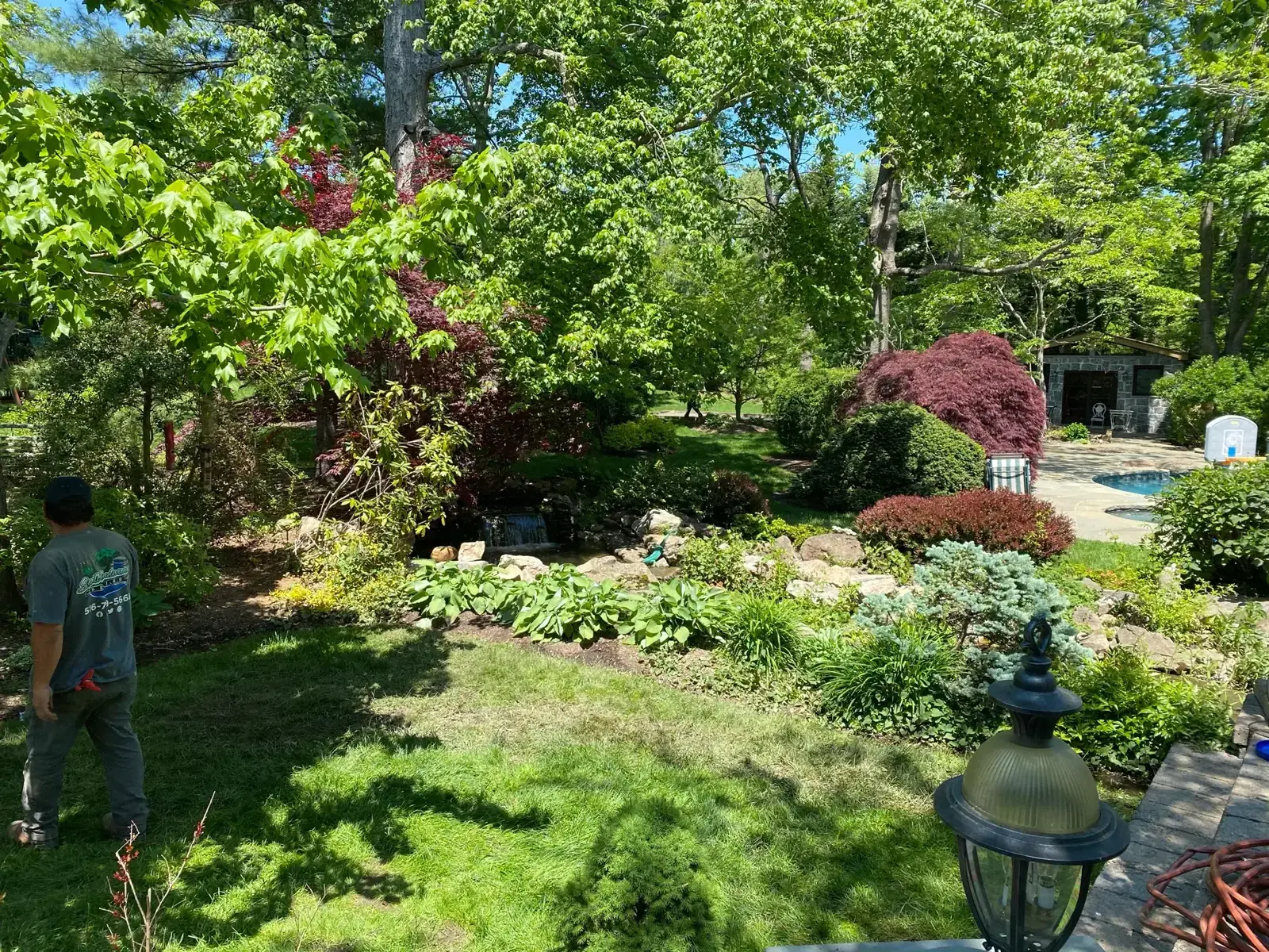 Mature shade garden with mixed perennial planting