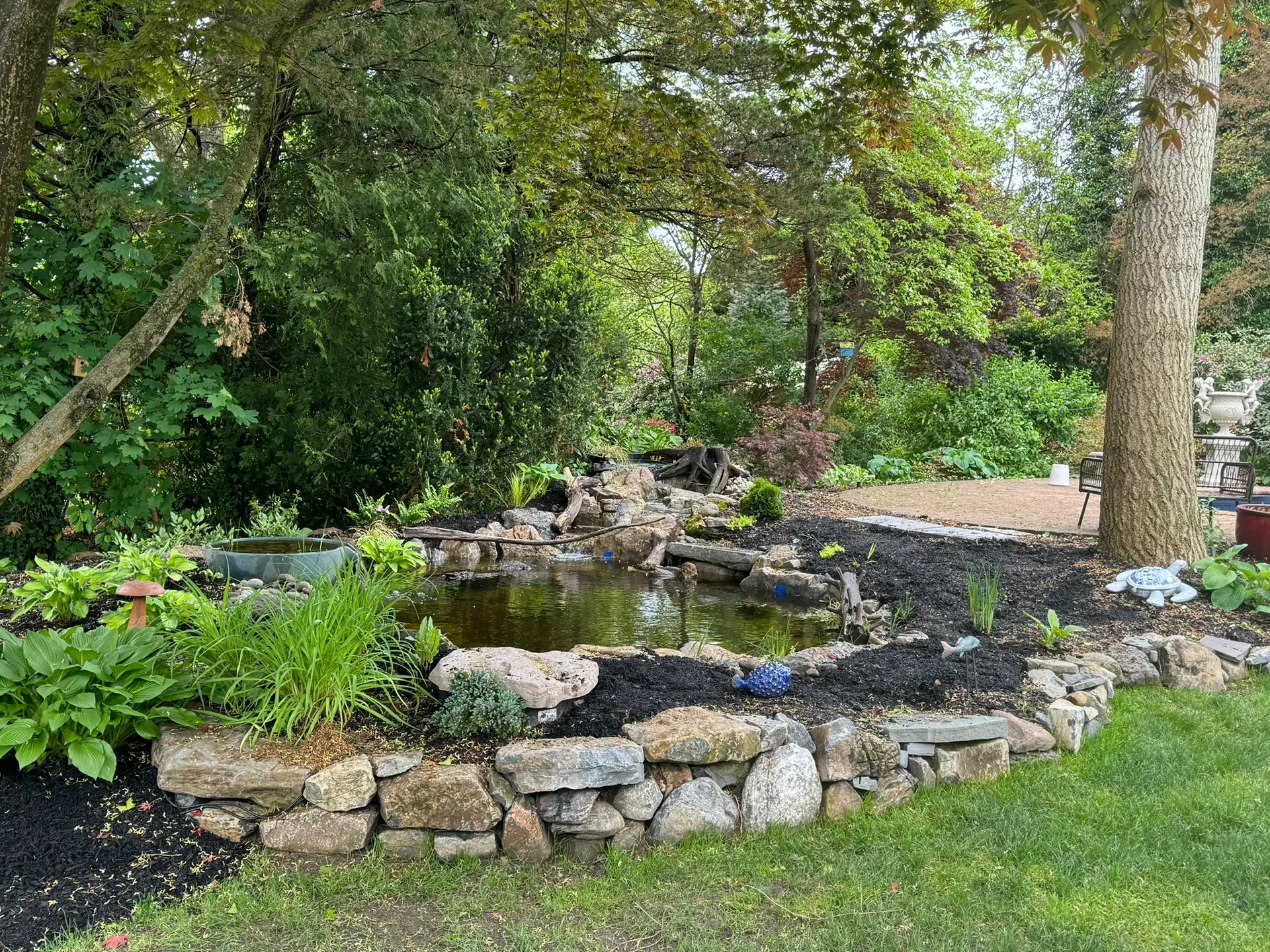 Romeo Naturalistic Pond in Northport, NY