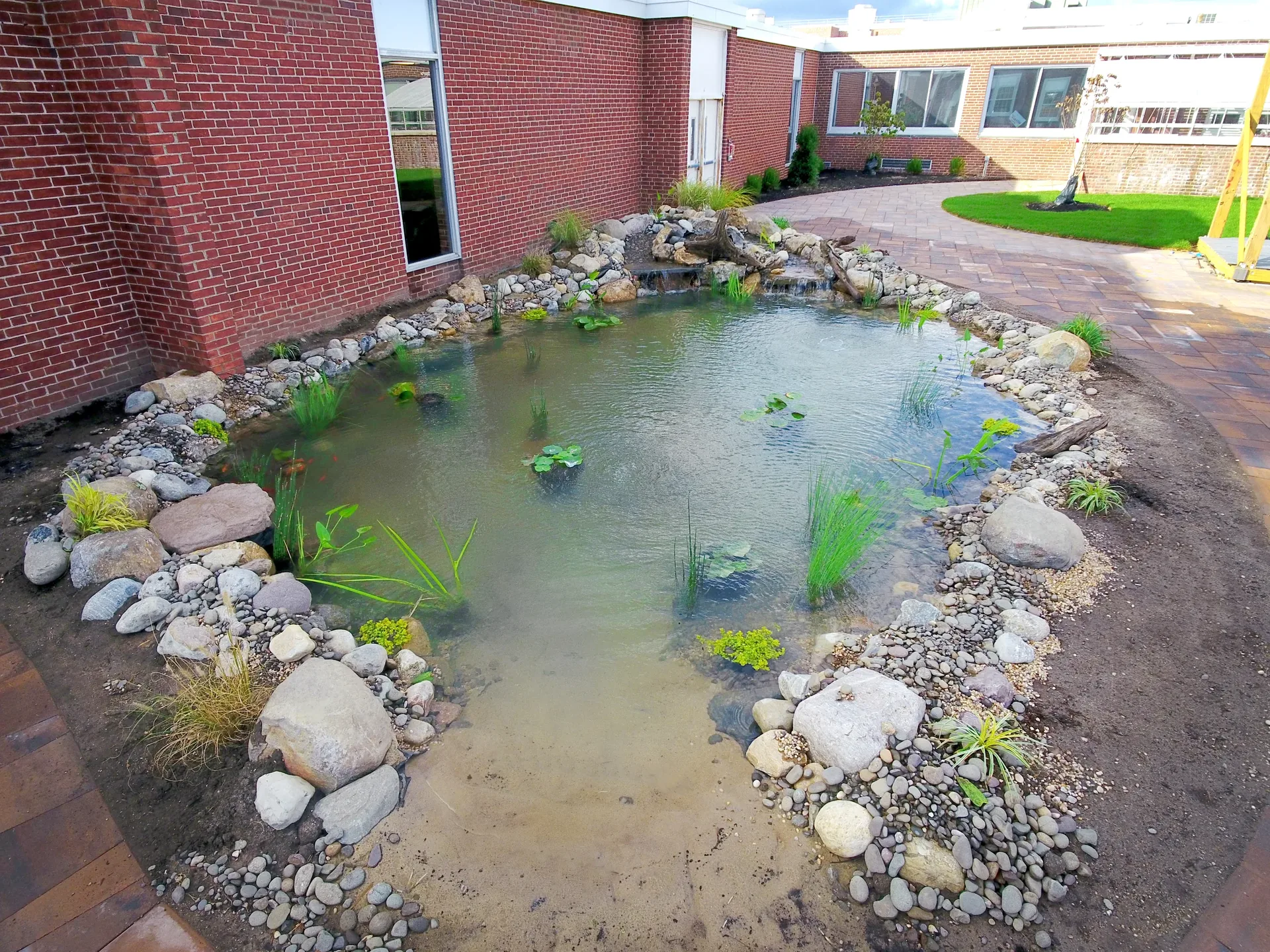 Jericho High School Koi Pond in Jericho, NY