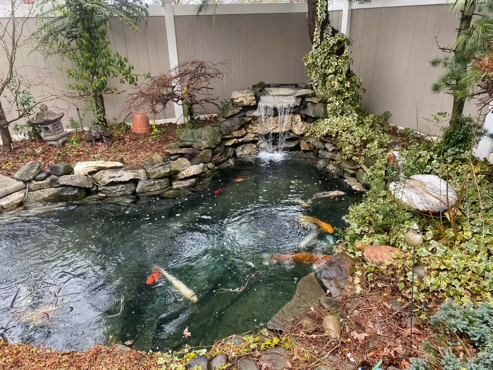 Ecosystem koi pond with a rock-set waterfall