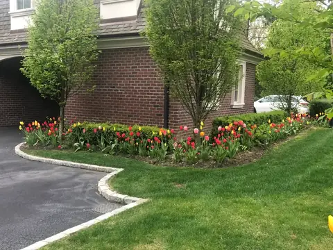 Foundation planting tulip border in Long Island, by Scott Anderson Design.