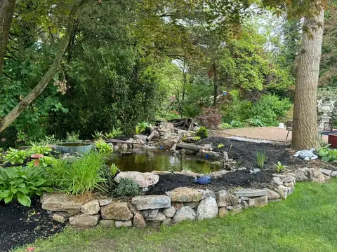 Koi pond japanese maple in Nassau County, by Scott Anderson Design.