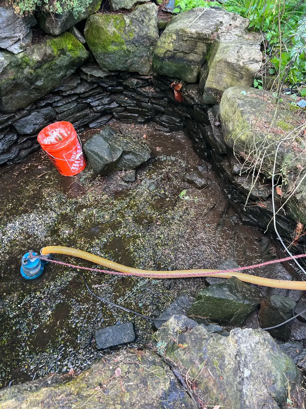 Drainage improvement on a Long Island property by Scott Anderson Design.
