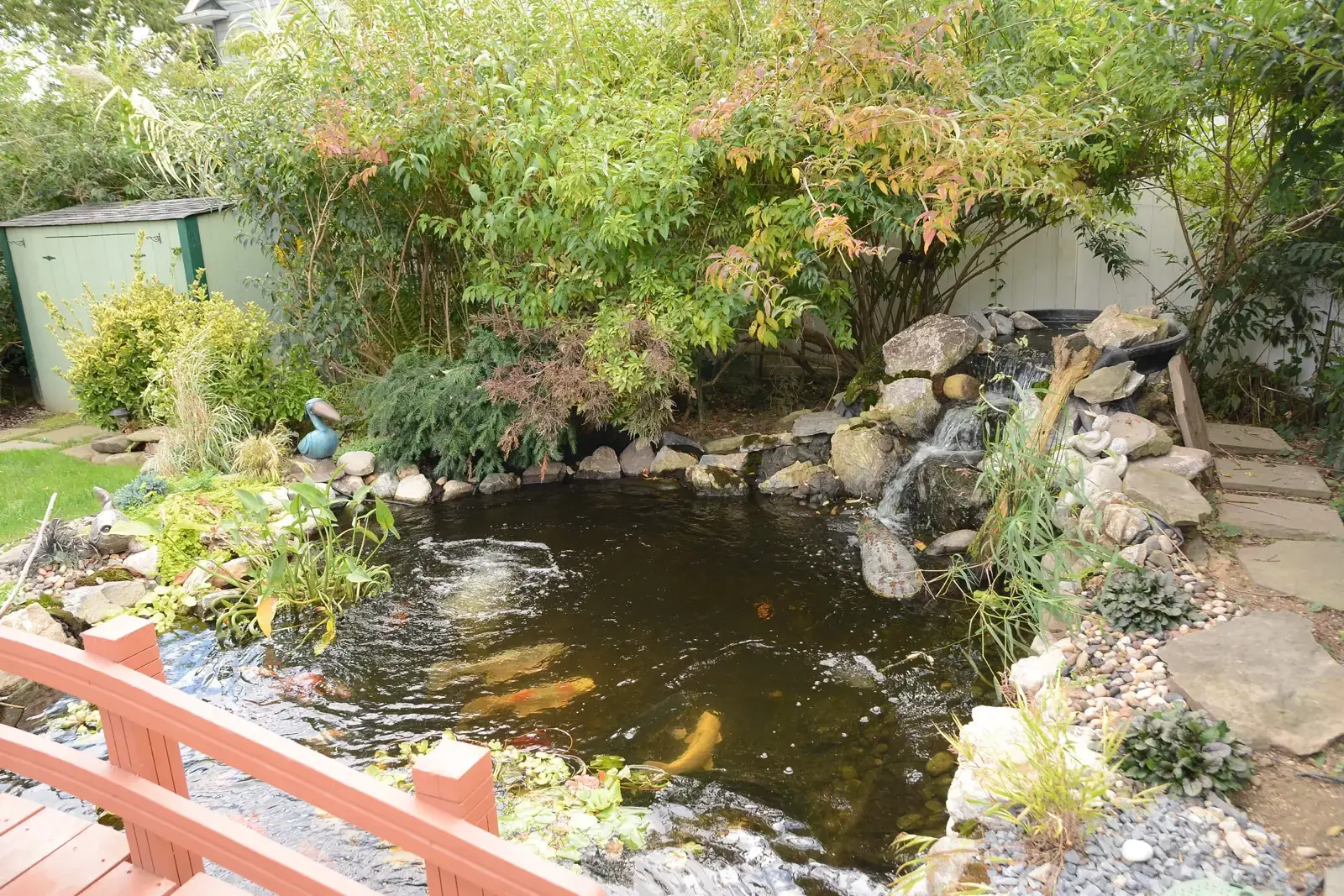 Large koi pond with a crossing