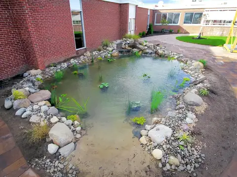 High school koi pond in Jericho, by Scott Anderson Design.