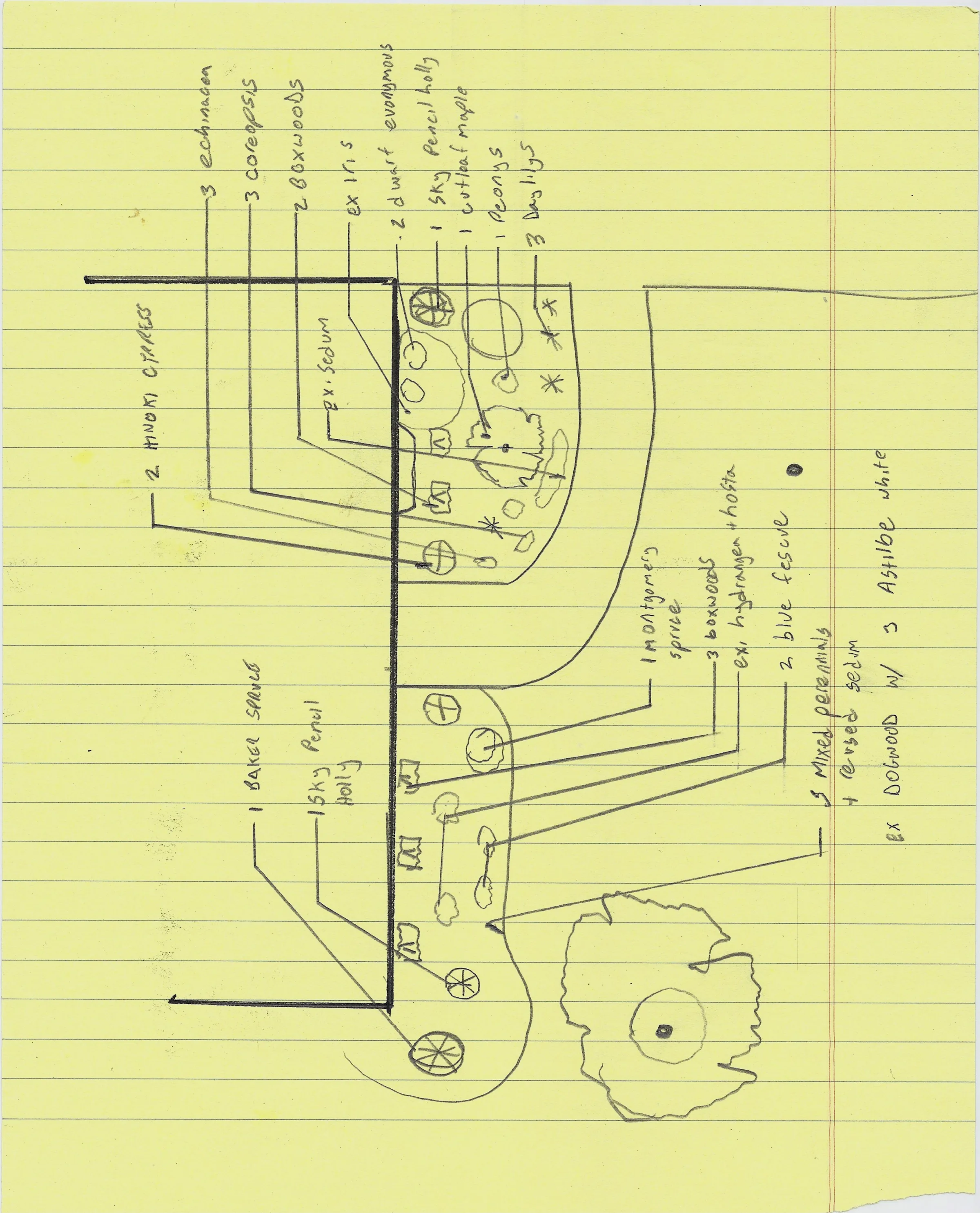 Basic Foundation Plant Sketch