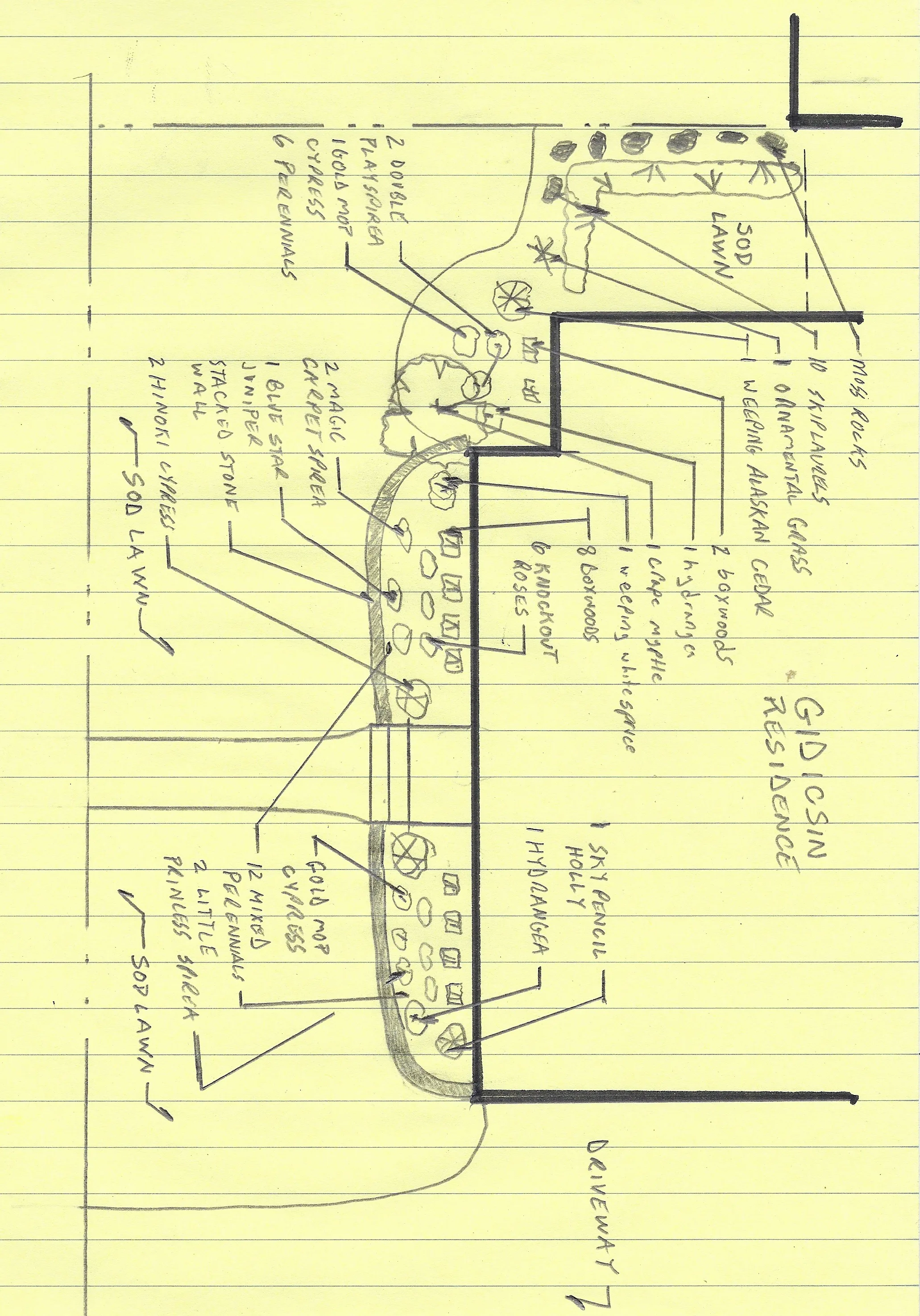 Evergreen Design Front Yard Sketch