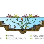 pond filtration system