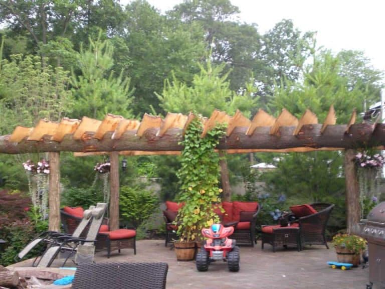 log pergola